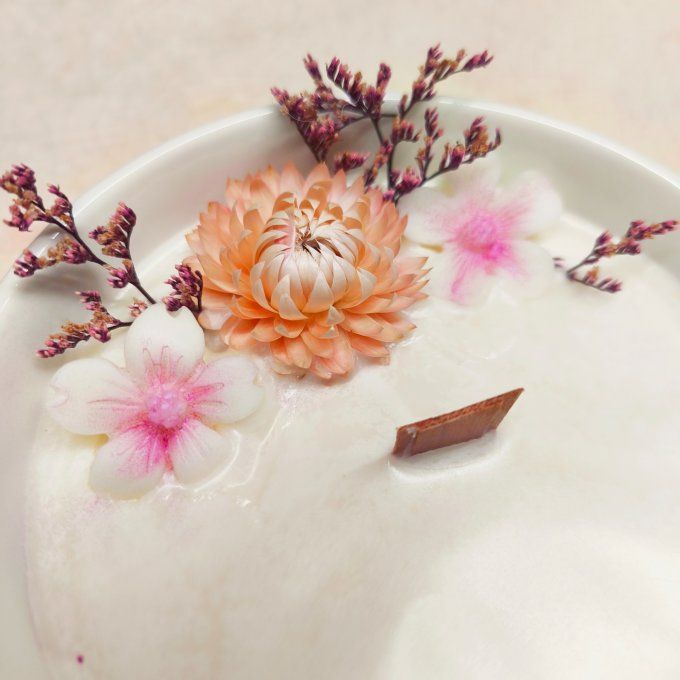 Délicate fleur de cerisier 