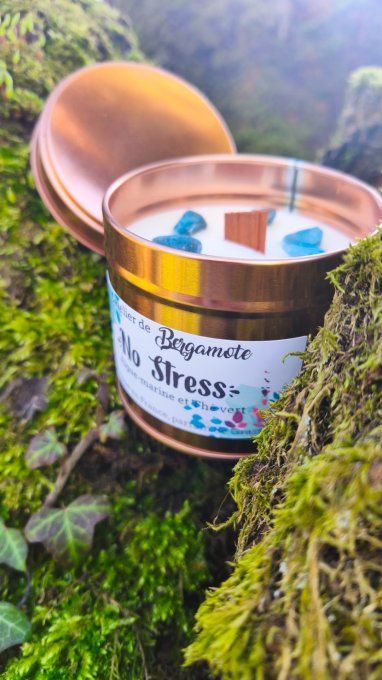 Rééquilibre - Copie