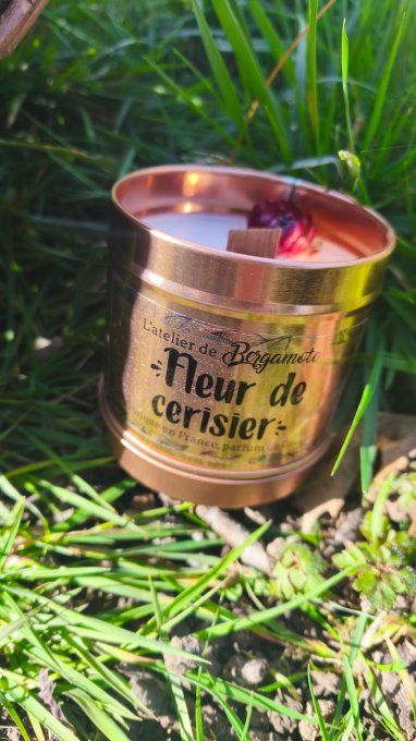 BOIS DE SANTAL - Copie - Copie